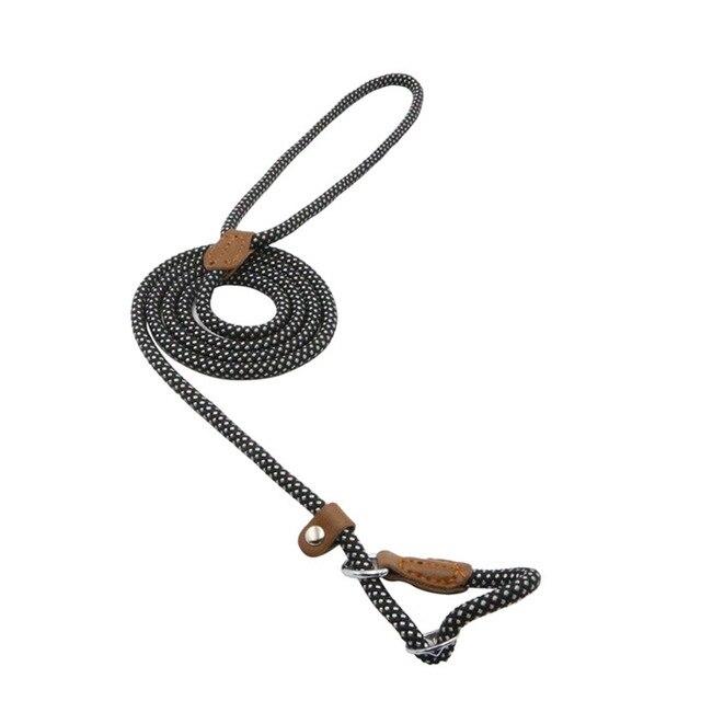 HomiraBloom | UrbanPaws – Premium Nylon & Vegan Leather Collar & Lead Set