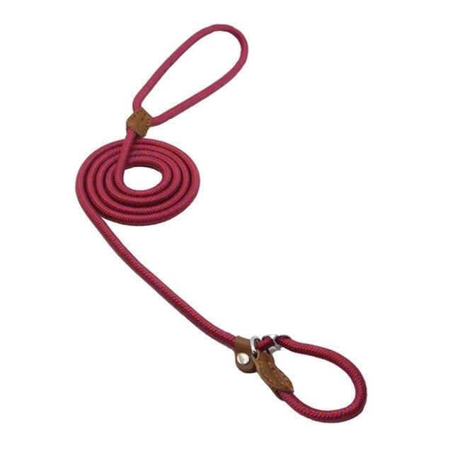 HomiraBloom | UrbanPaws – Premium Nylon & Vegan Leather Collar & Lead Set