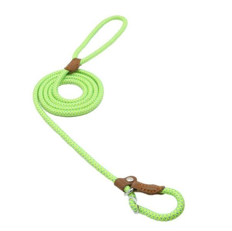 HomiraBloom | UrbanPaws – Premium Nylon & Vegan Leather Collar & Lead Set