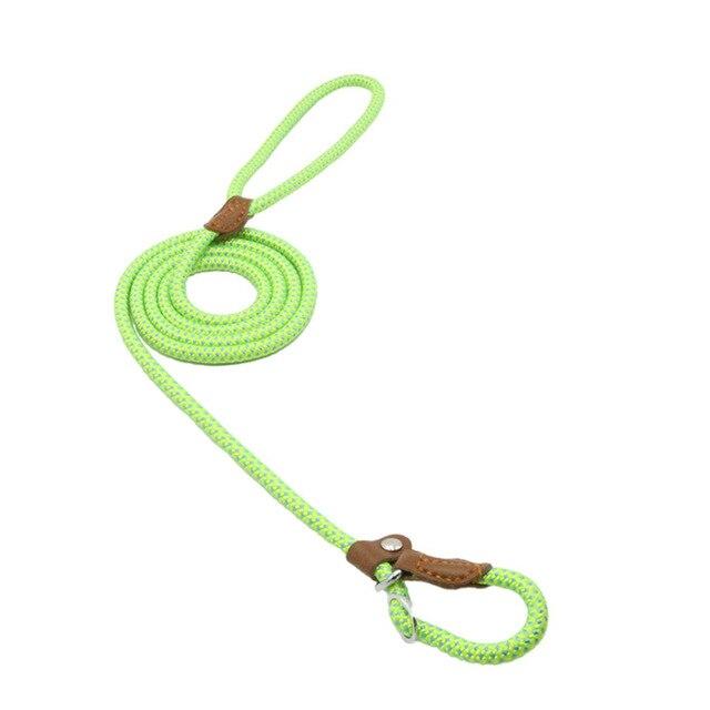 HomiraBloom | UrbanPaws – Premium Nylon & Vegan Leather Collar & Lead Set