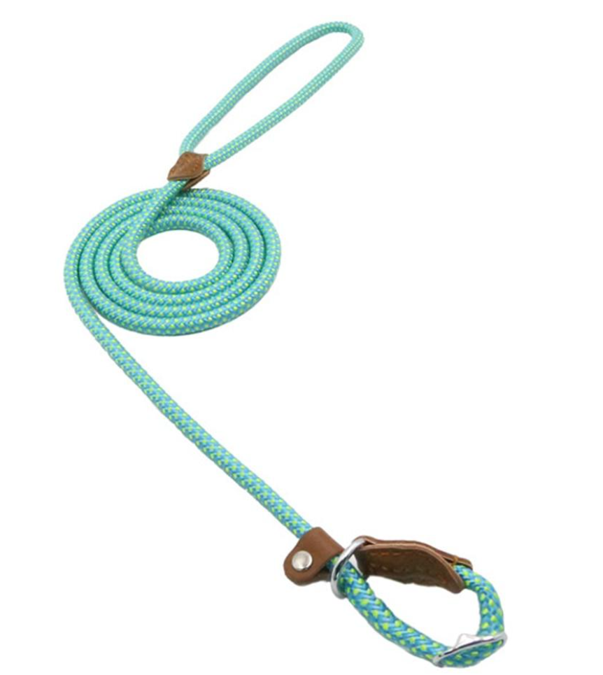 HomiraBloom | UrbanPaws – Premium Nylon & Vegan Leather Collar & Lead Set