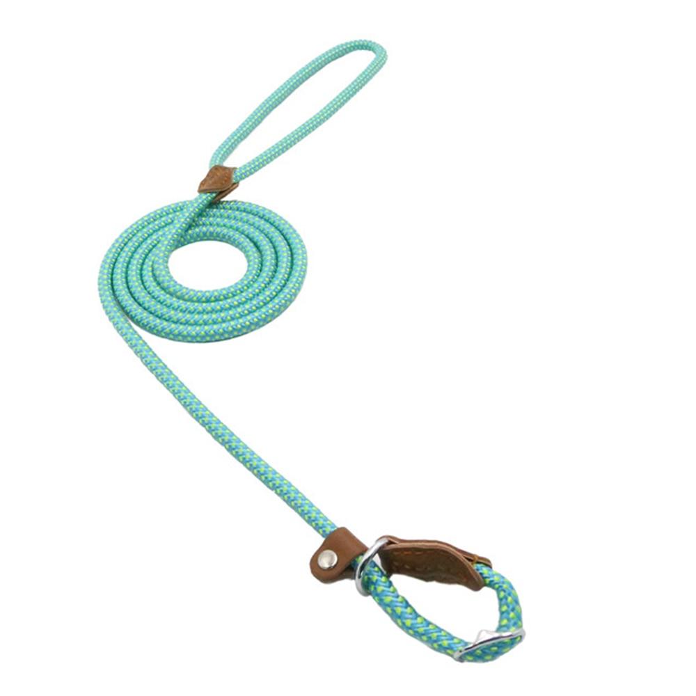 HomiraBloom | UrbanPaws – Premium Nylon & Vegan Leather Collar & Lead Set