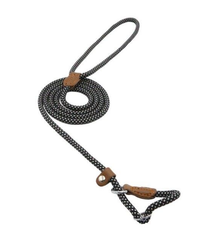 HomiraBloom | UrbanPaws – Premium Nylon & Vegan Leather Collar & Lead Set