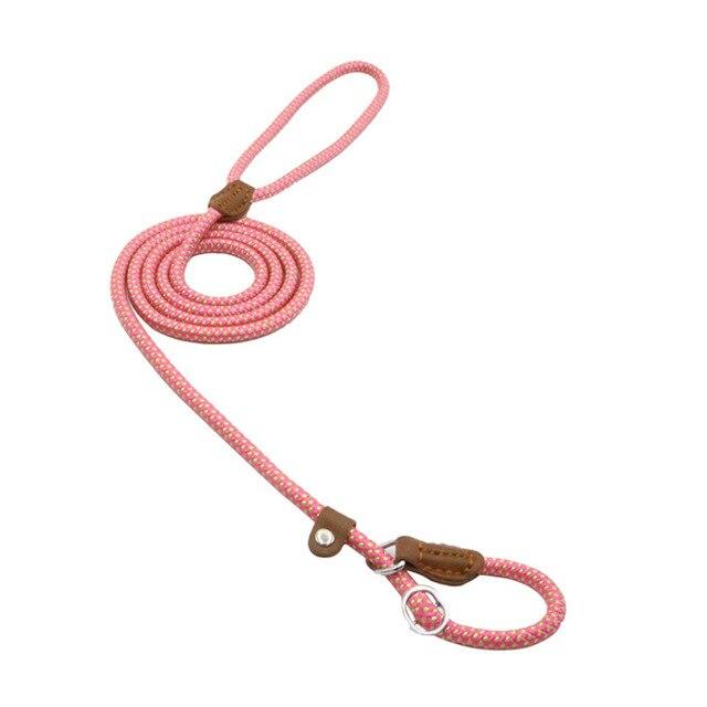 HomiraBloom | UrbanPaws – Premium Nylon & Vegan Leather Collar & Lead Set