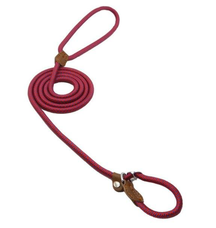 HomiraBloom | UrbanPaws – Premium Nylon & Vegan Leather Collar & Lead Set