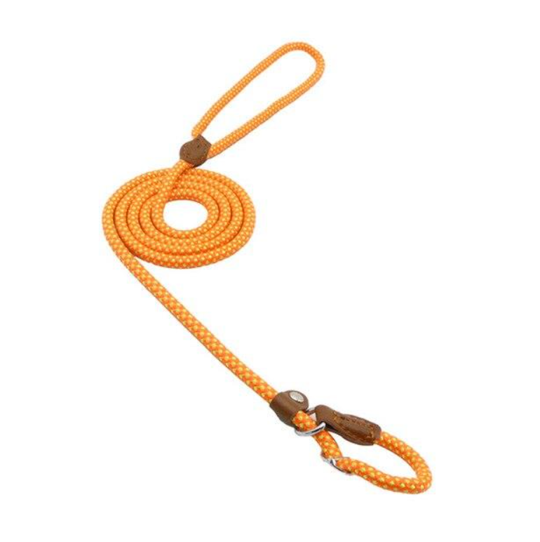 HomiraBloom | UrbanPaws – Premium Nylon & Vegan Leather Collar & Lead Set