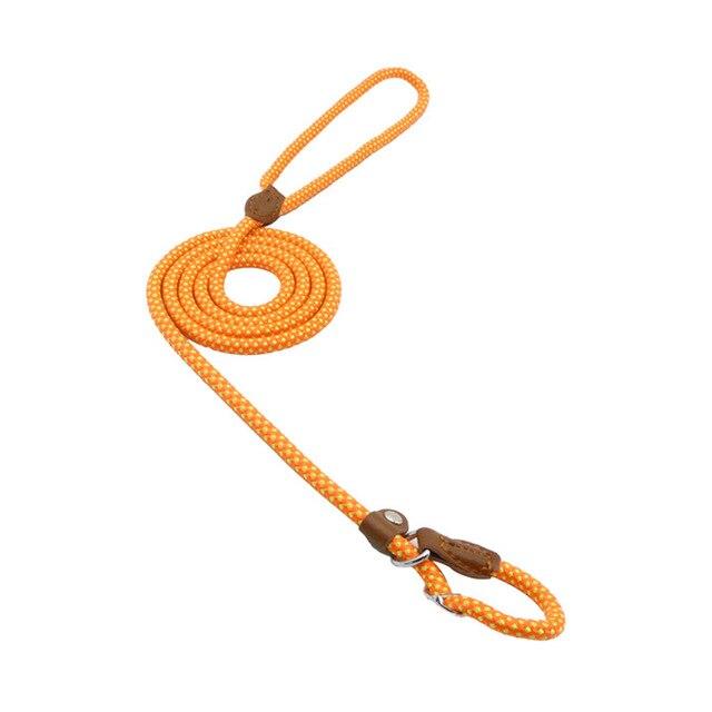 HomiraBloom | UrbanPaws – Premium Nylon & Vegan Leather Collar & Lead Set