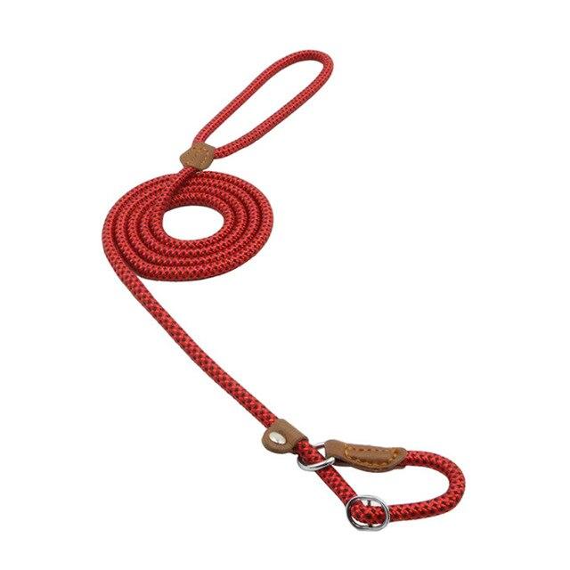 HomiraBloom | UrbanPaws – Premium Nylon & Vegan Leather Collar & Lead Set